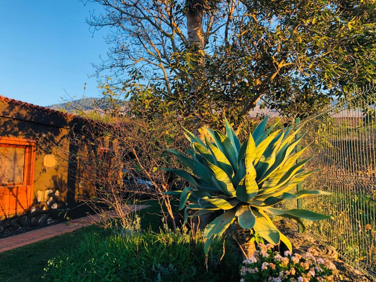 Casa Rural Dona Herminda La Matanza De Acentejo Eksteriør billede