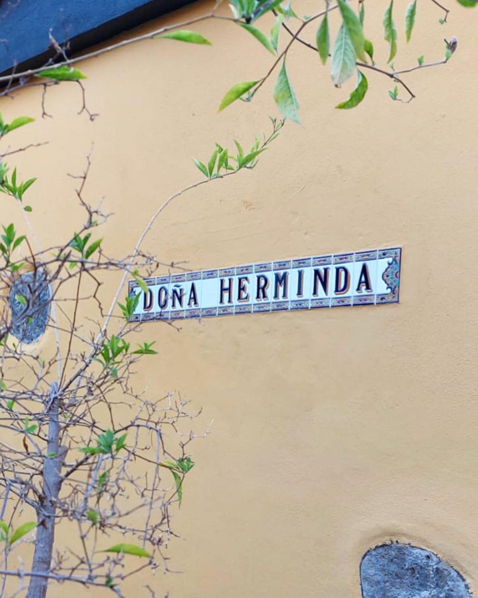 Casa Rural Dona Herminda La Matanza De Acentejo Eksteriør billede